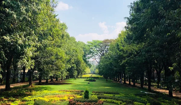 Featured Image of Cubbon Park